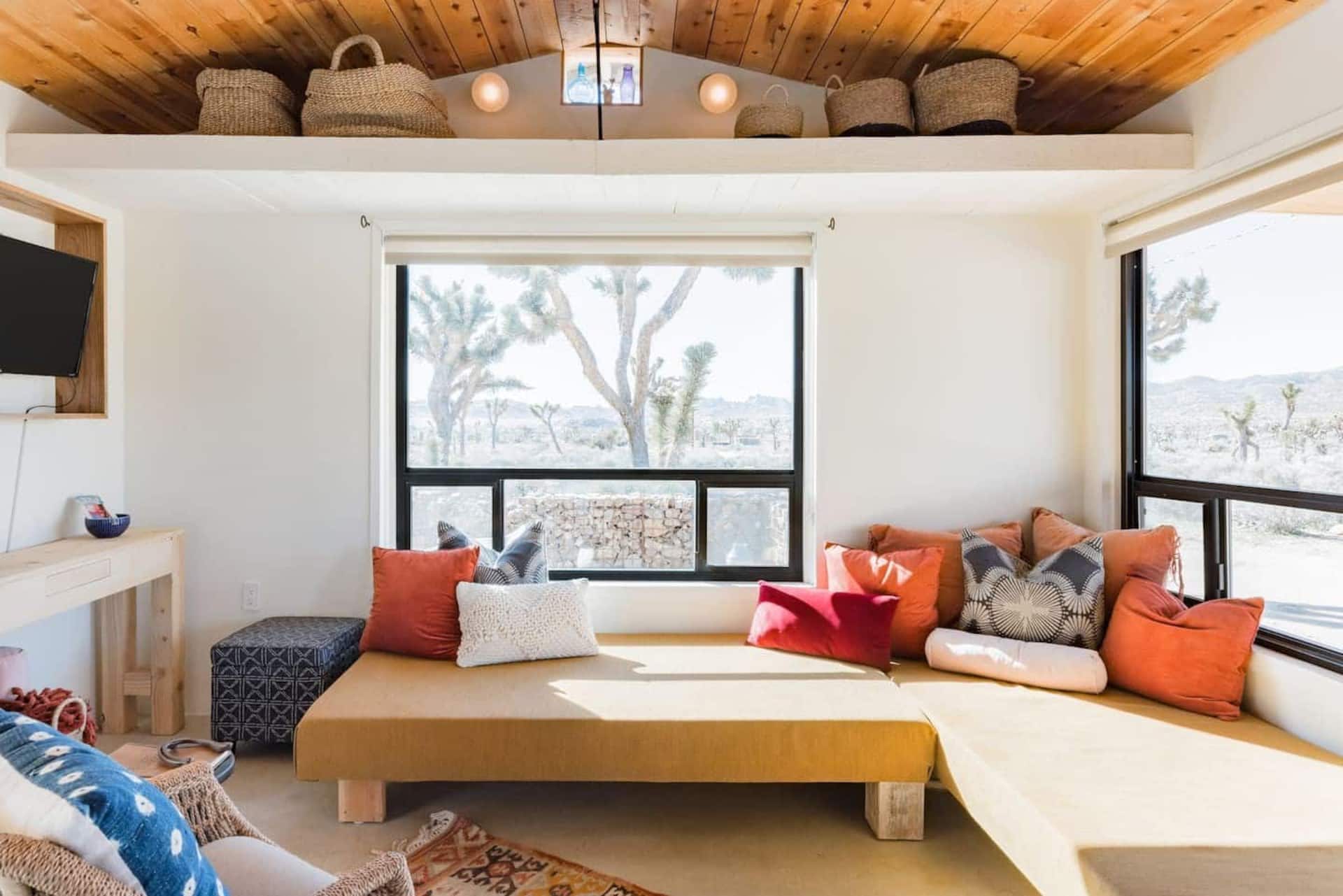 Inside the cabin, looking out to the Joshua trees